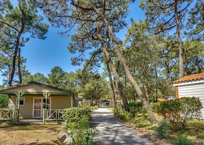 Cozy In 라포트 쉬르메르