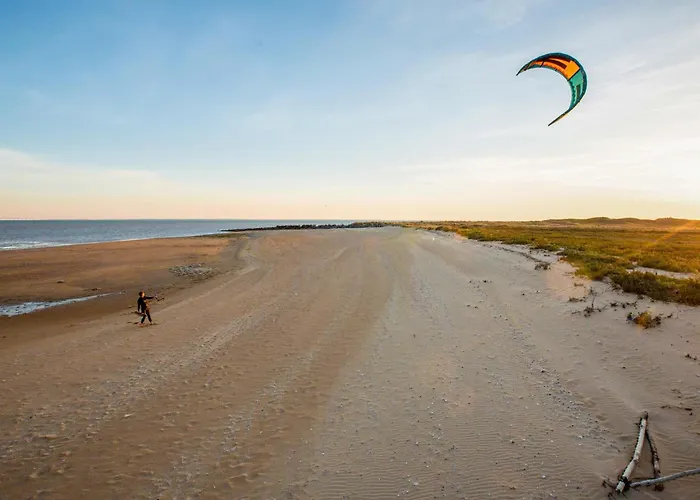 Cozy In 라포트 쉬르메르